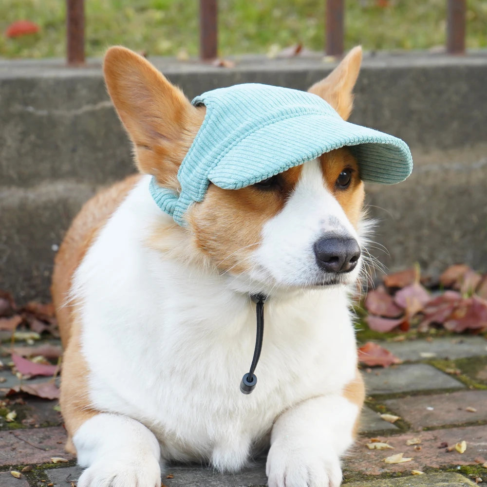 PawCap