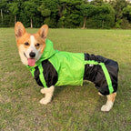 RainPaws Suit