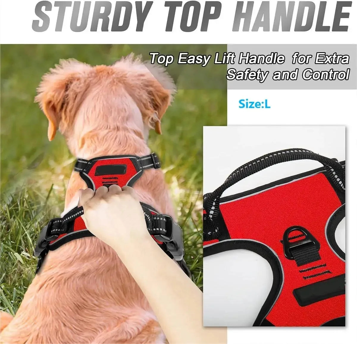 PawGuard