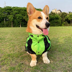 RainPaws Suit