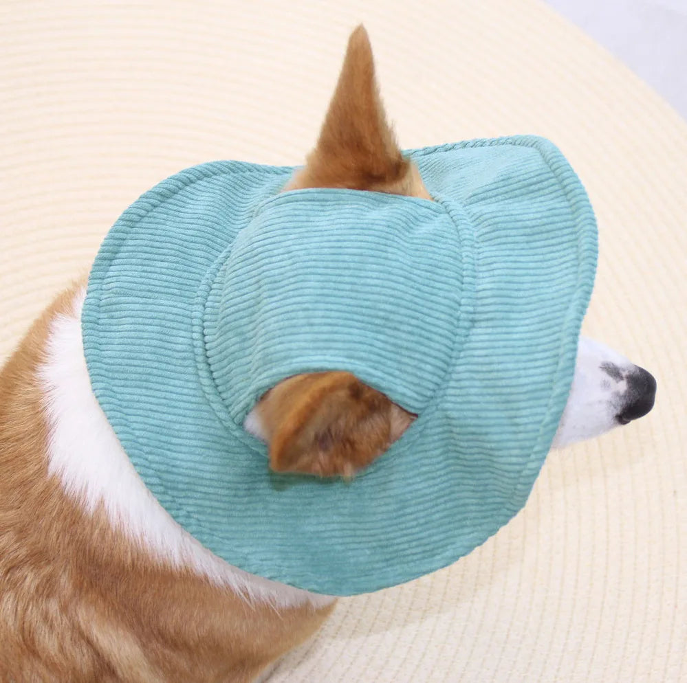 PawCap