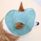 PawCap